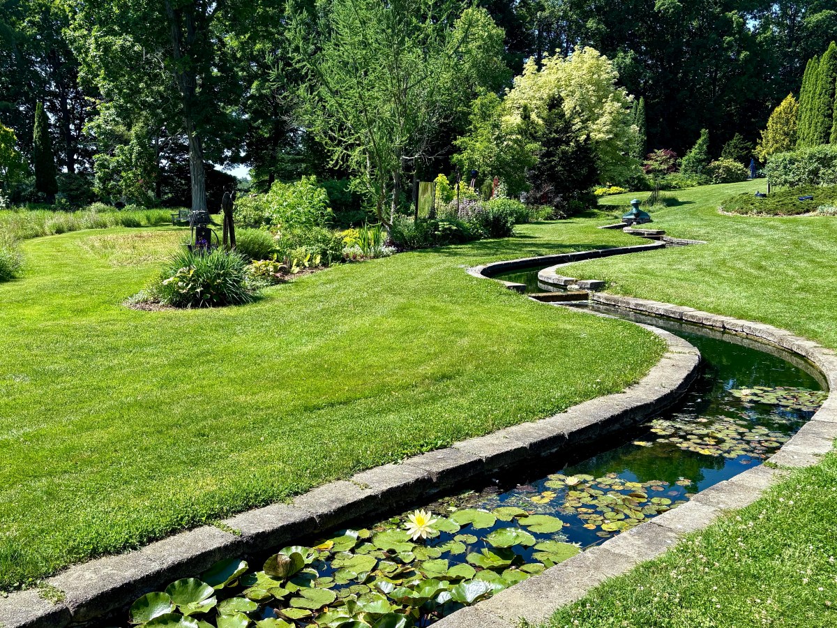 Importance Of Properly Watering Your&nbsp;Garden