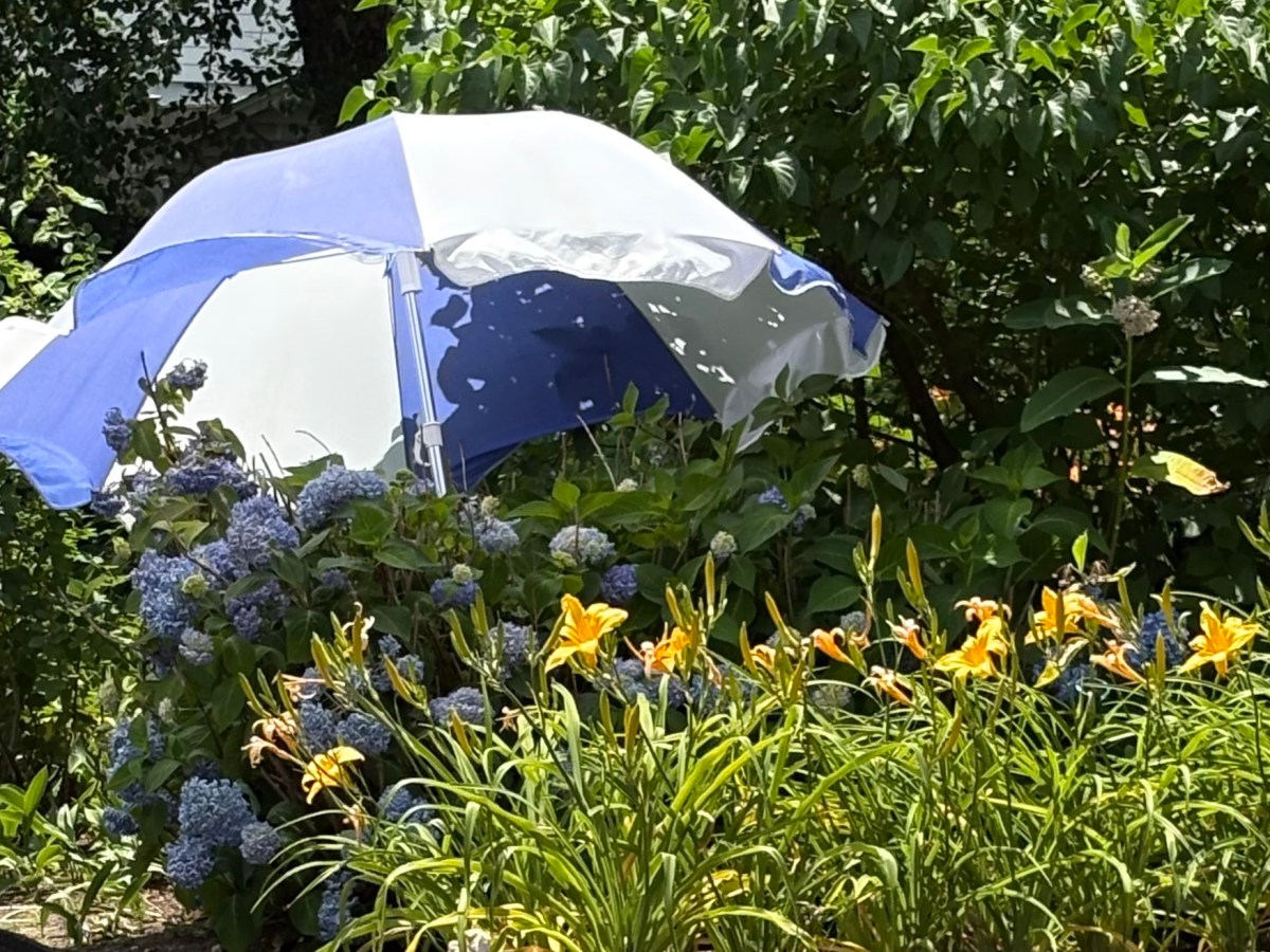 Interesting Nurseries To Buy Plants And Special Public Gardens To Visit In New&nbsp;England