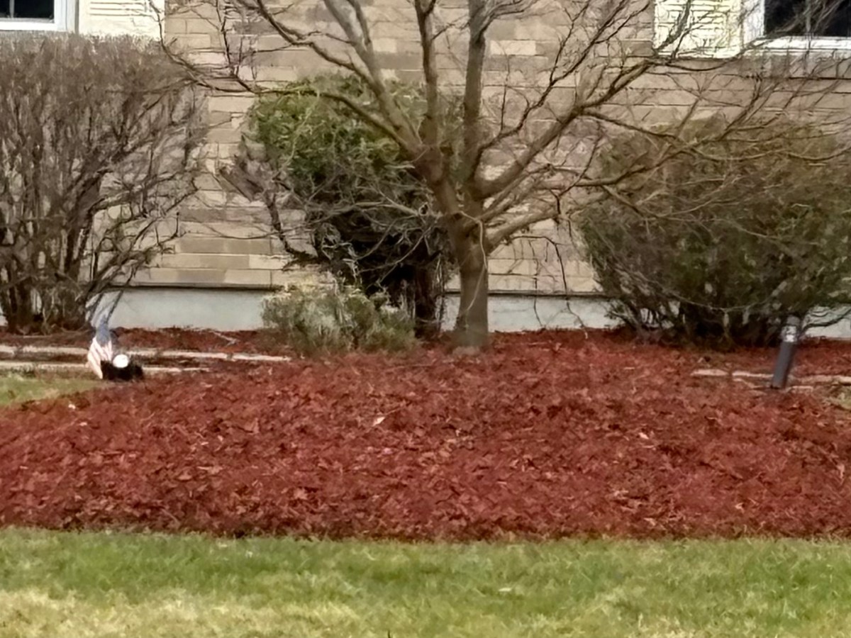 Garden Mulch: Friend or&nbsp;Foe
