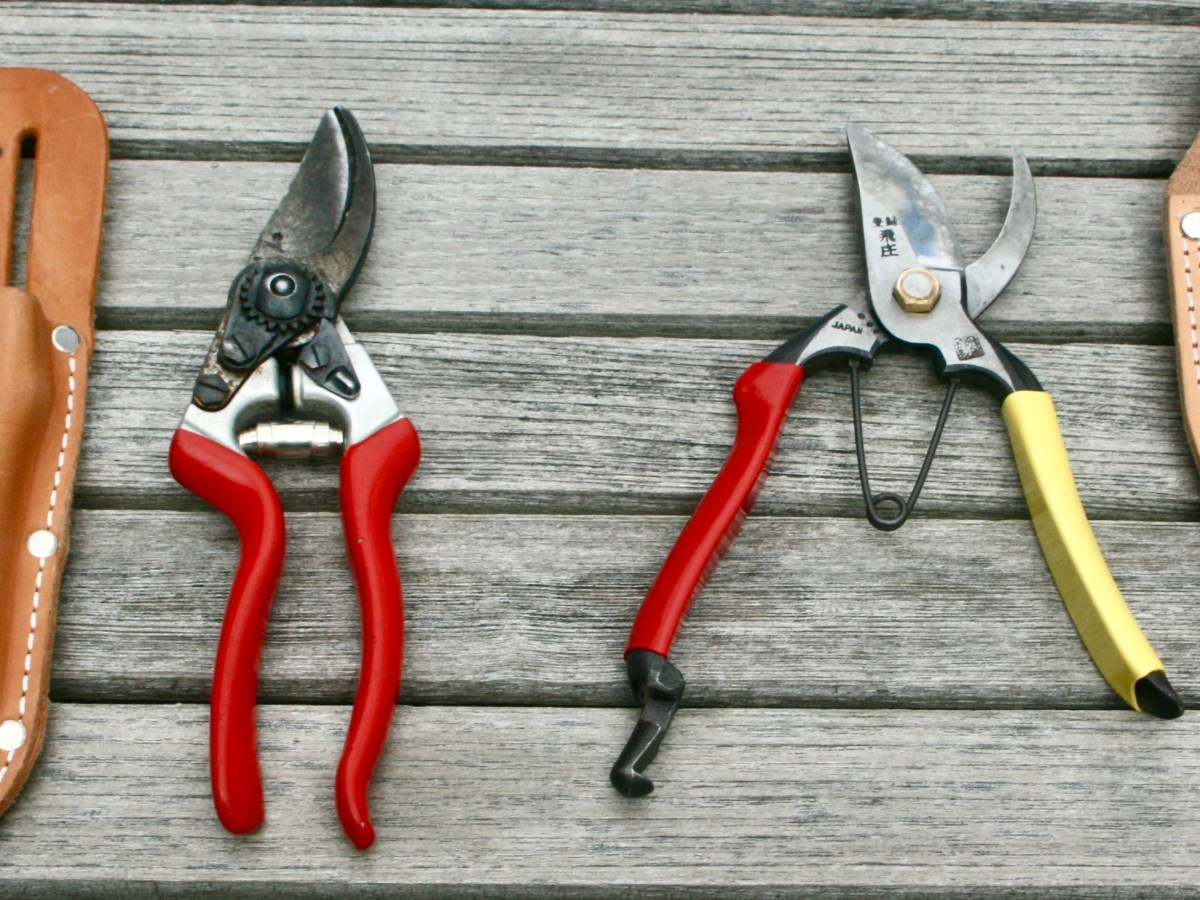 Best Pruning Tools And Their&nbsp;Care